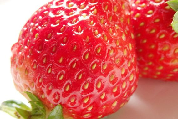 粒が大きないちご