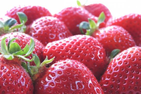 静岡生まれの苺「紅ほっぺ」